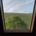 Dreckiges Fenster
