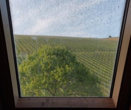 Dreckiges Fenster